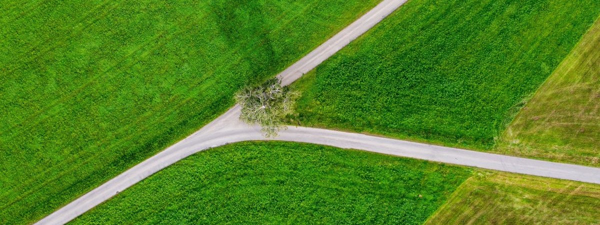 fork in road diversing paths shutterstock_2384775271